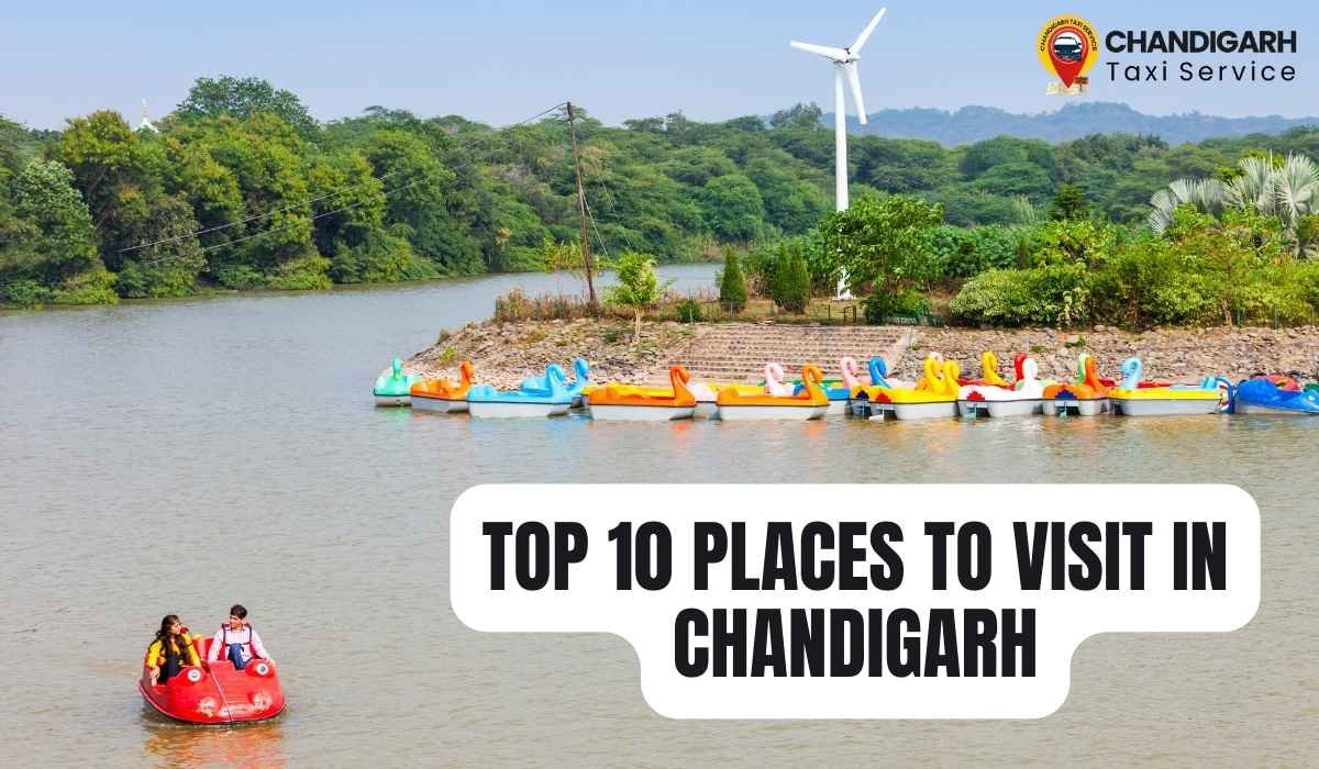 Top 10 Places to Visit in Chandigarh