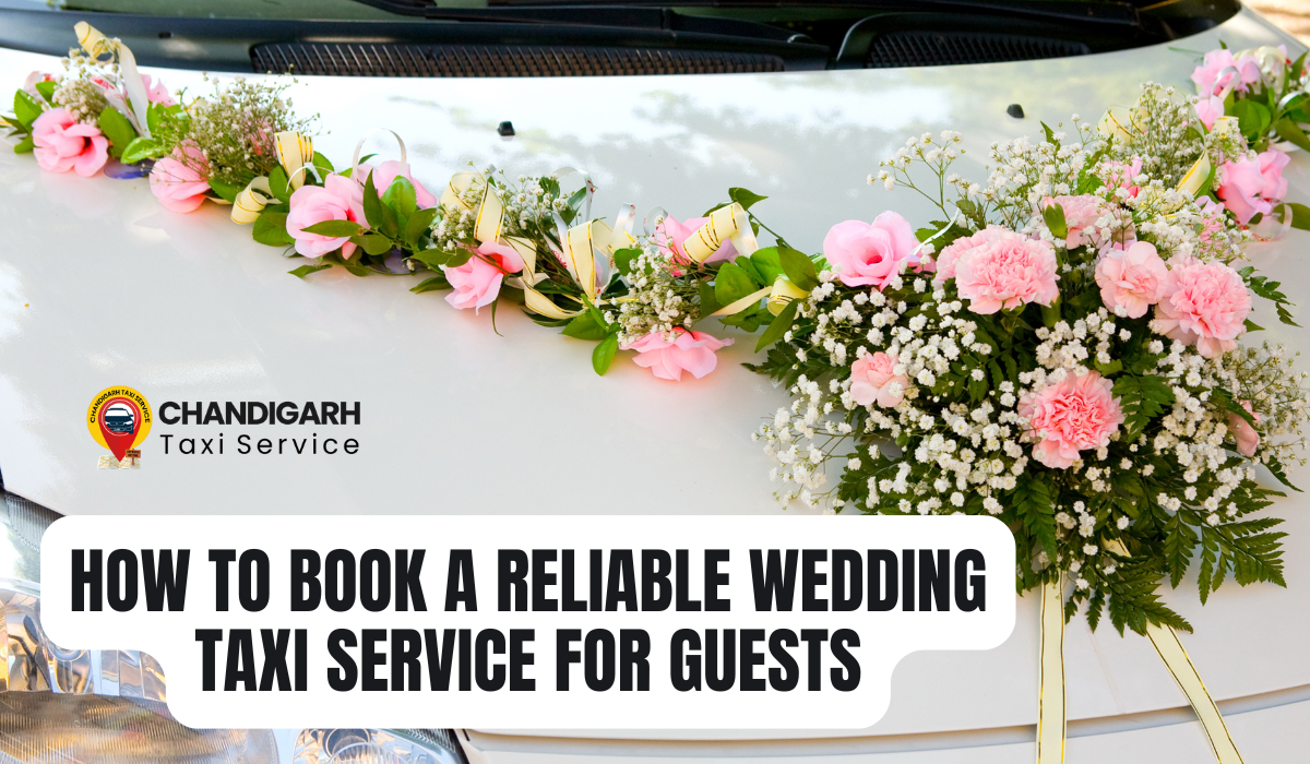 Wedding Taxi Service